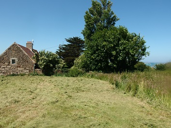 le calme du jardin